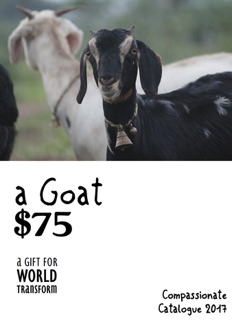 CC17 - #18 - A Goat