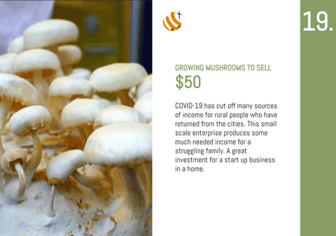 CC20 - #19 - Growing Mushrooms to Sell