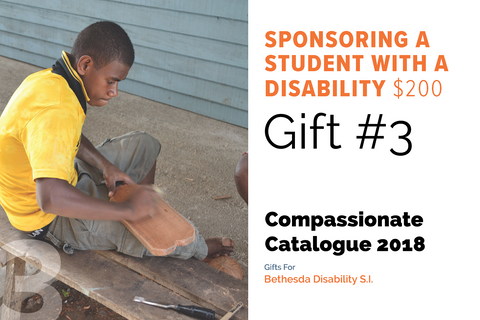 CC18 - #03 - Sponsoring a Student with a Disability